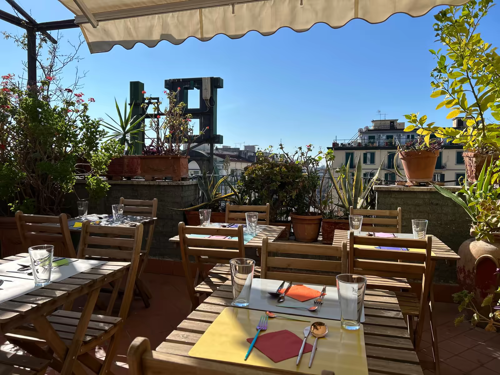 Roof Garden Image 4