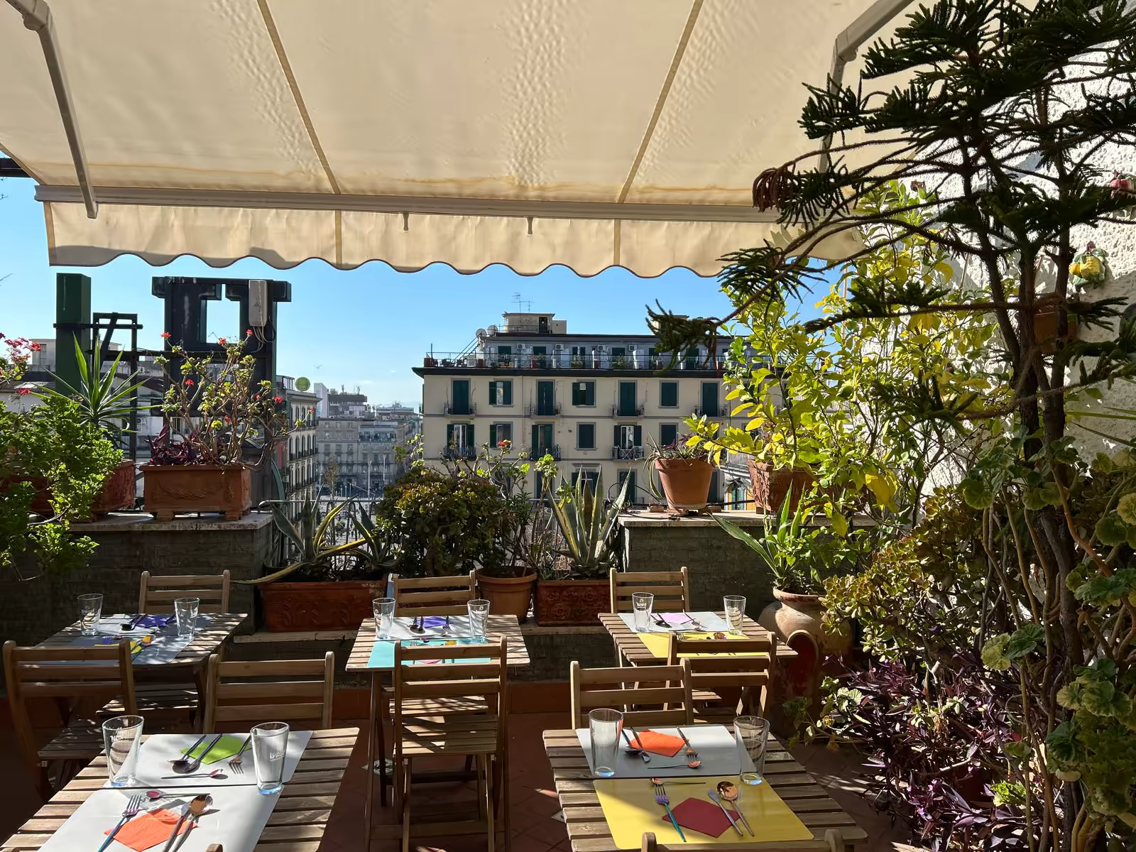 Roof Garden Image 5