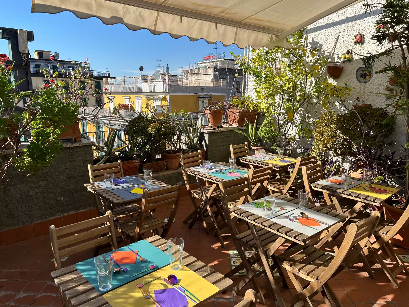Roof Garden Image 6