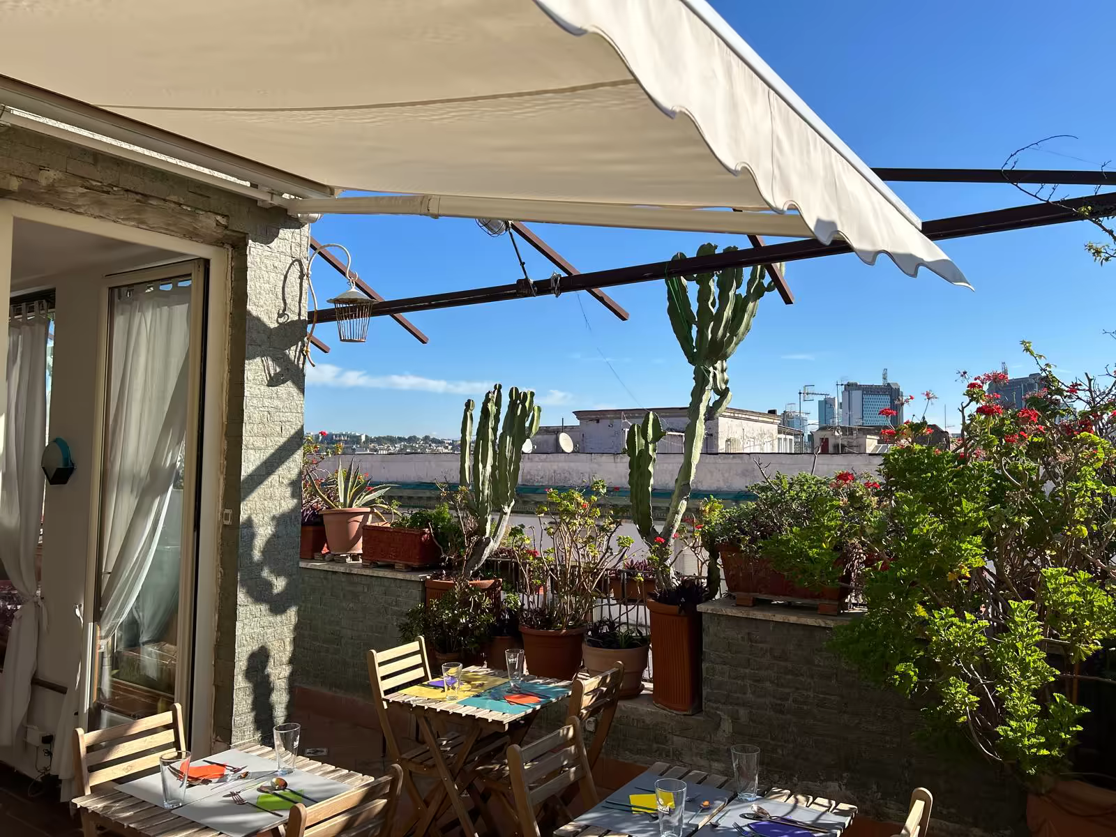 Roof Garden Image 7