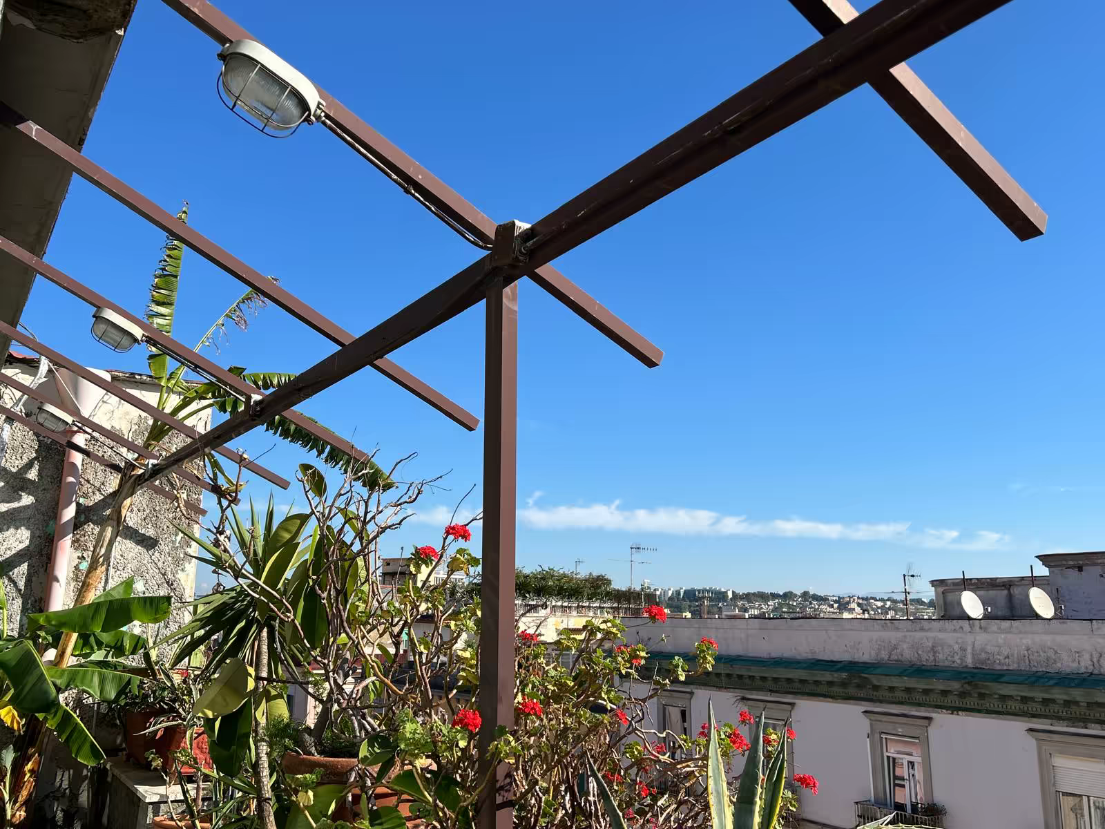 Roof Garden Image 9